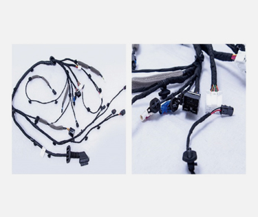 Passenger Door Harness Assembly