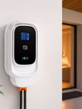 NEG - AC Smart Charger (Singapore)